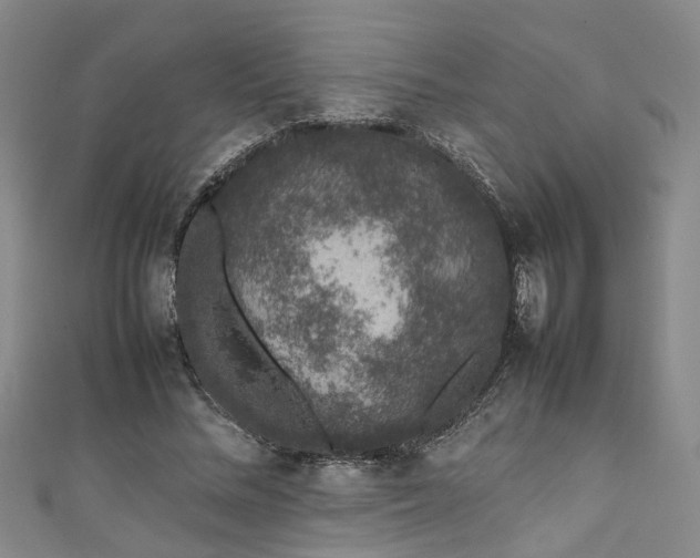 X0000111370684200907101211