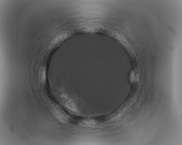 X0000111370685200907101211