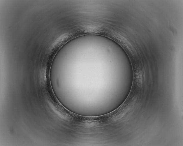 X0000111370686200907101211
