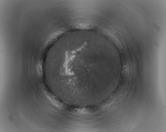X0000111370688200907101211