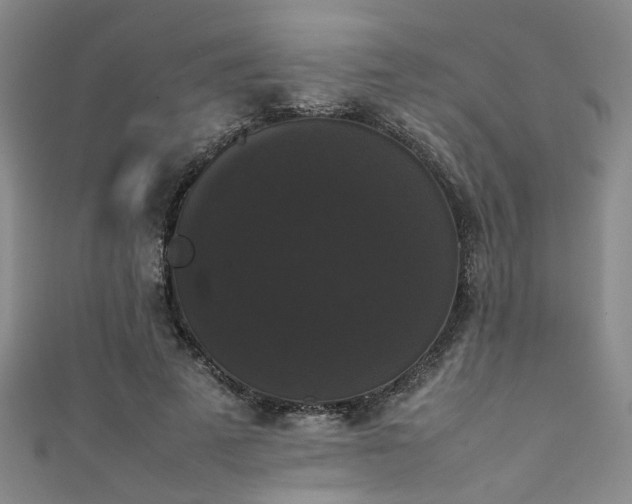 X0000111370689200907101211