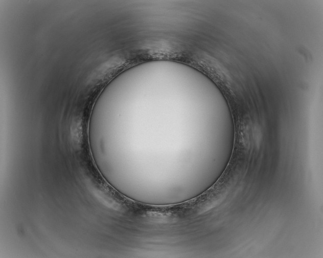 X0000111370690200907101211