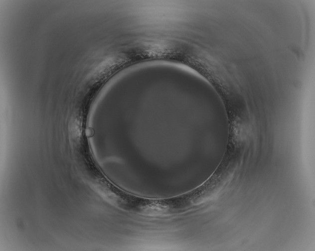 X0000111370691200907101211
