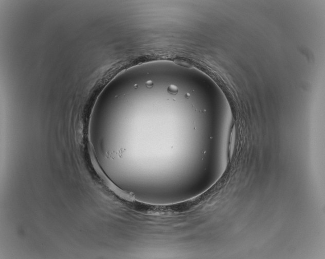 X0000111370693200907101211