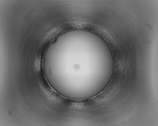 X0000111370694200907101211