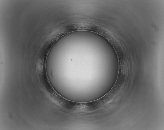 X0000111370695200907101211