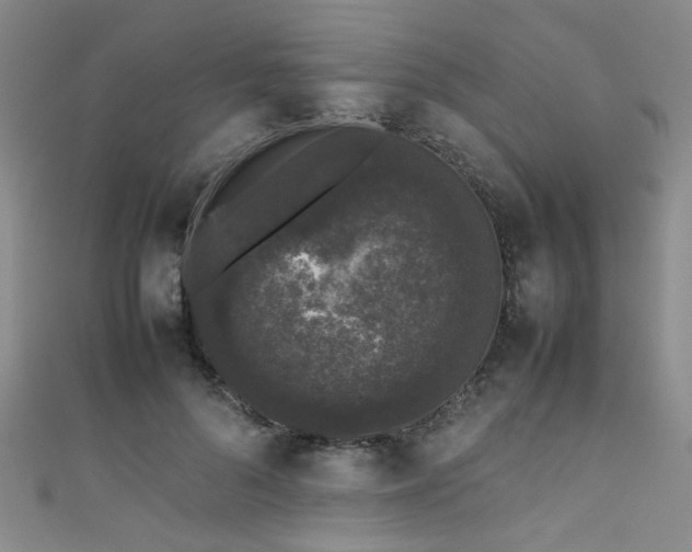 X0000111370696200907101211