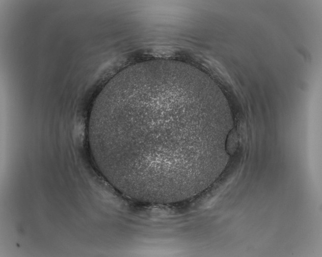 X0000111370697200907101211