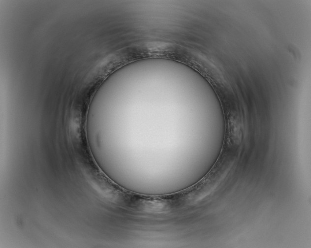 X0000111370698200907101211