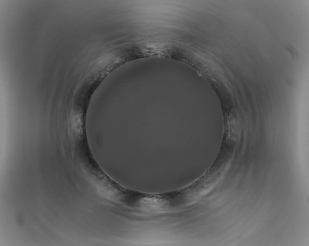 X0000111370699200907101211