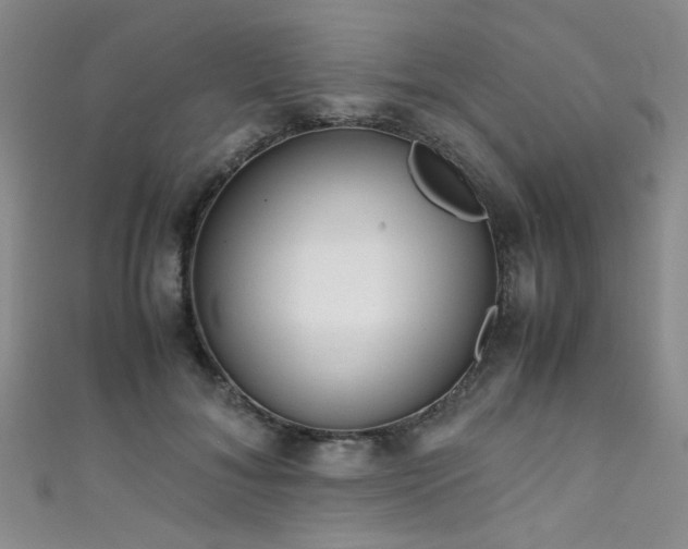 X0000111370700200907101211