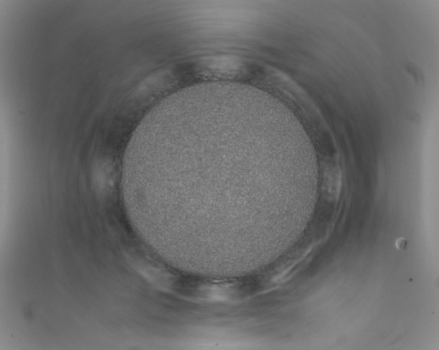 X0000111370701200907101211
