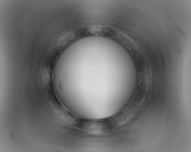 X0000111370702200907101211