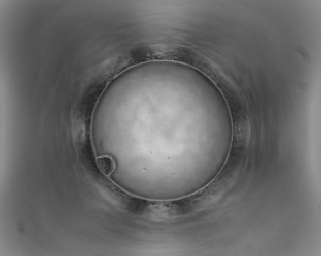 X0000111370703200907101211