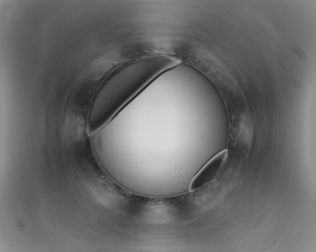 X0000111370704200907101211