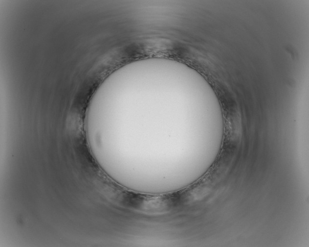 X0000111370705200907101211