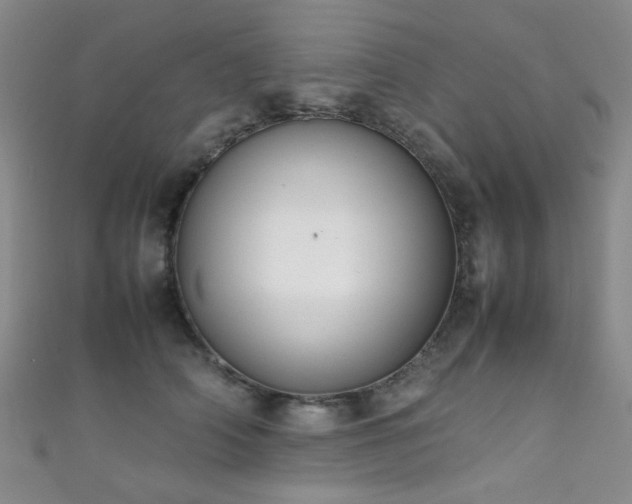 X0000111370706200907101211