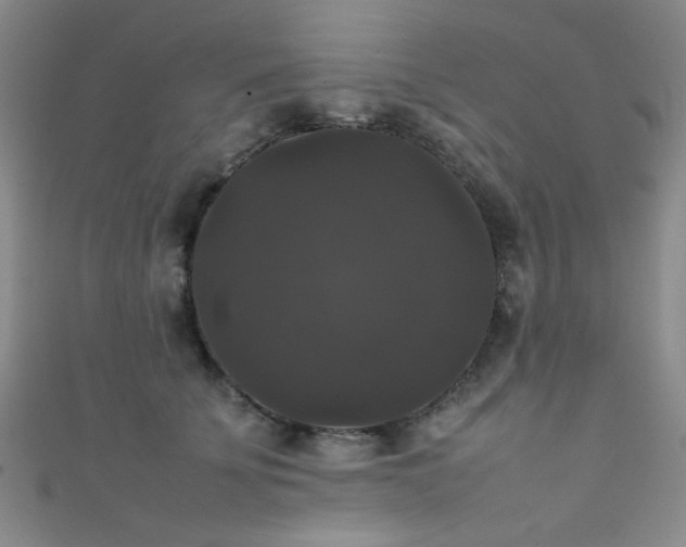 X0000111370707200907101211
