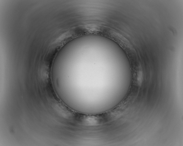 X0000111370710200907101211