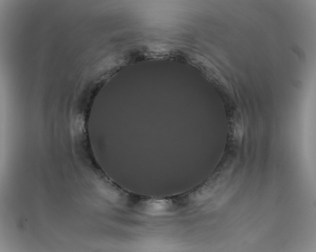 X0000111370711200907101211