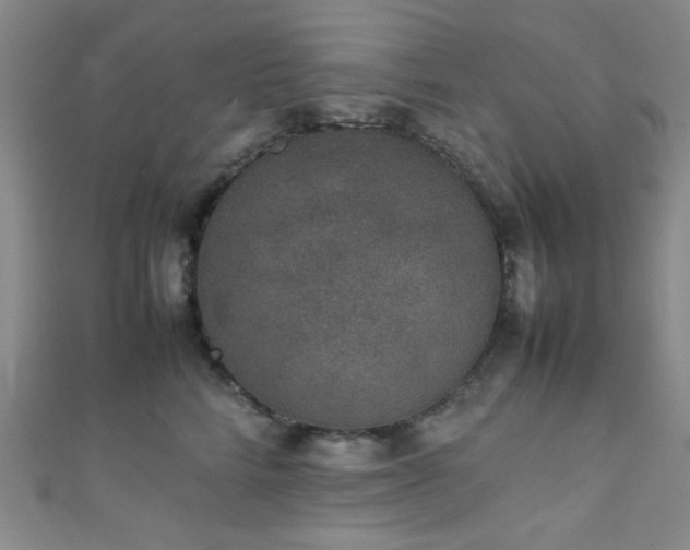 X0000111370712200907101211