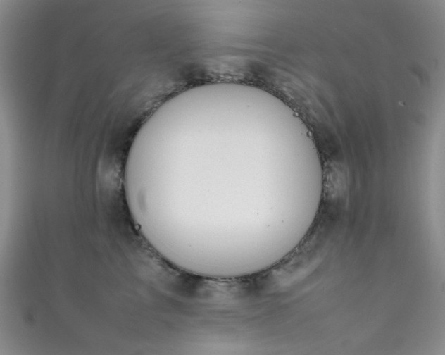 X0000111370713200907101211
