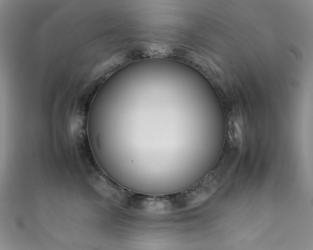 X0000111370714200907101211