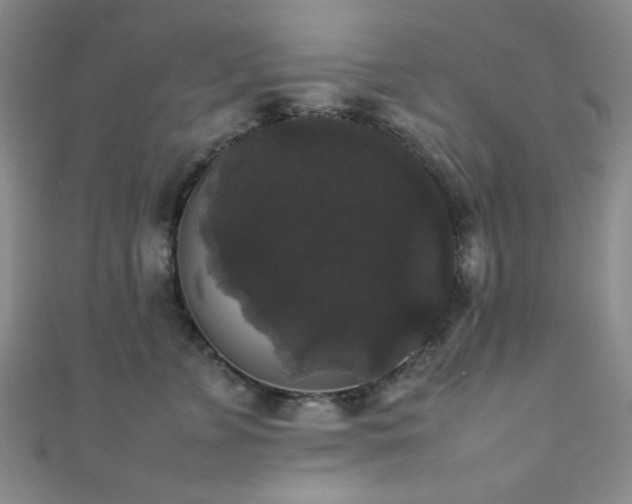 X0000111370715200907101211