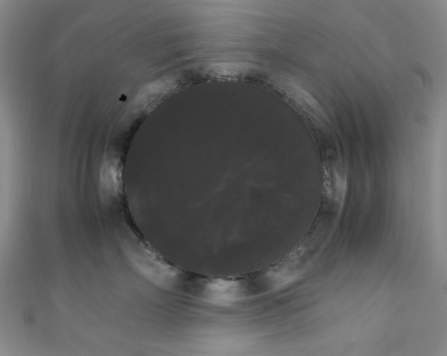 X0000111370718200907101211
