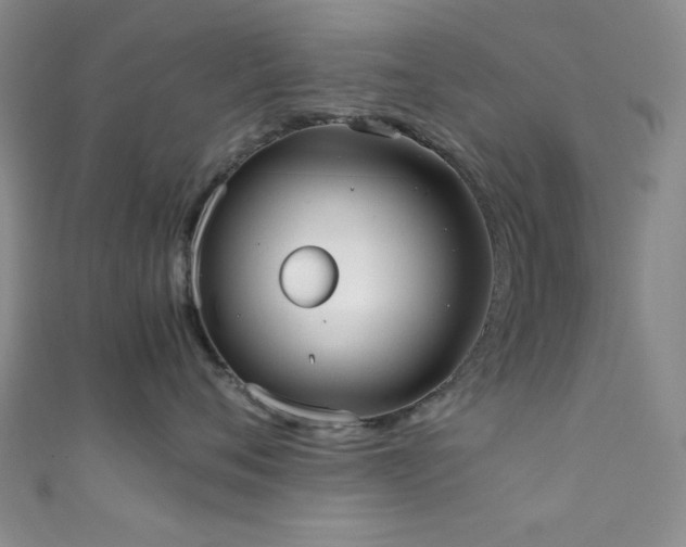 X0000111370720200907101211