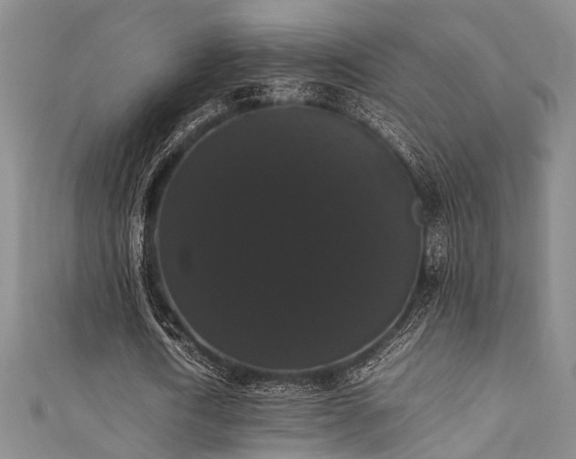 X0000111370722200907101210