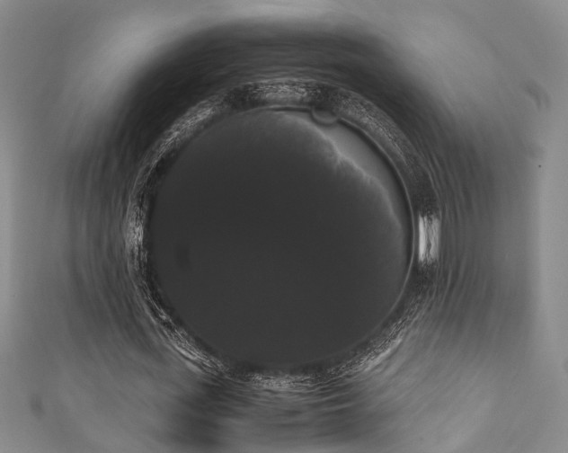 X0000111370723200907101210