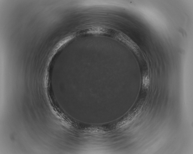 X0000111370724200907101210