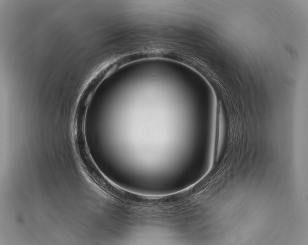 X0000111370726200907101210