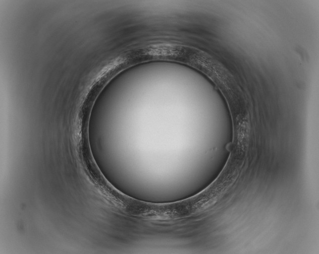 X0000111370727200907101210