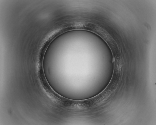 X0000111370728200907101210