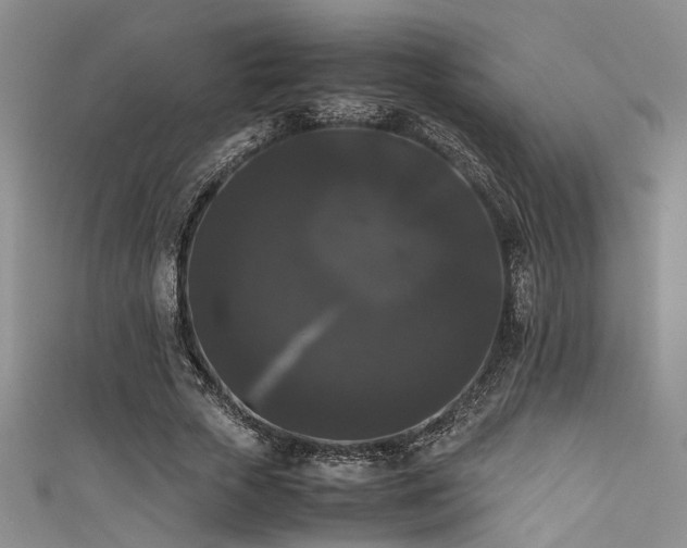X0000111370729200907101210