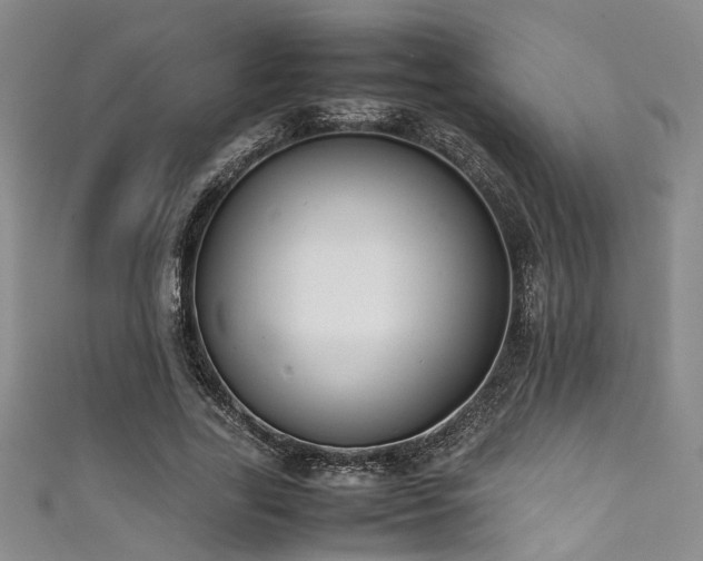 X0000111370731200907101210