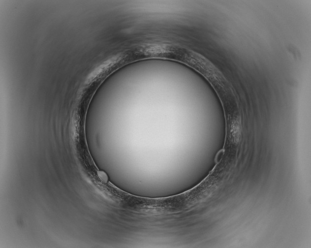 X0000111370732200907101210