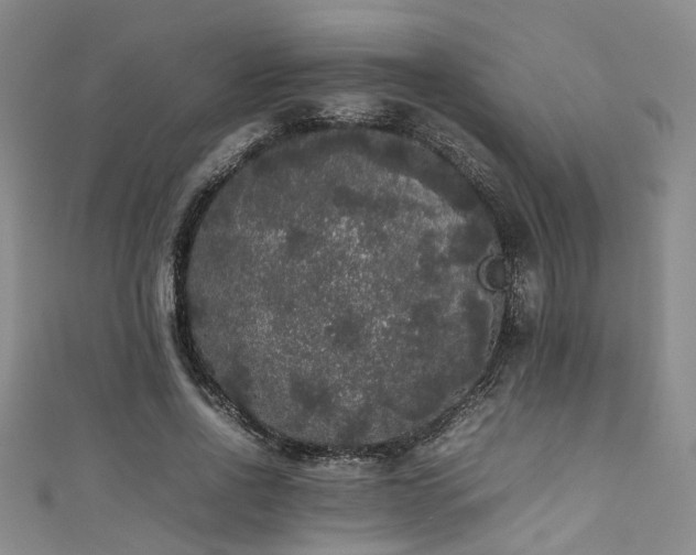 X0000111370734200907101211