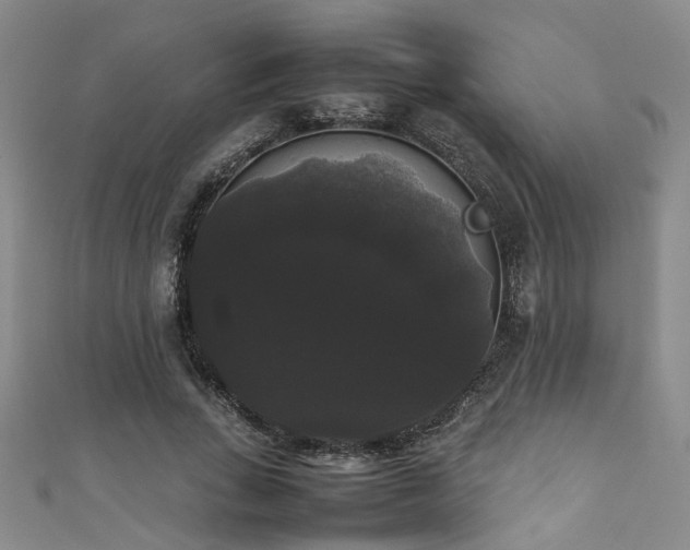 X0000111370735200907101211