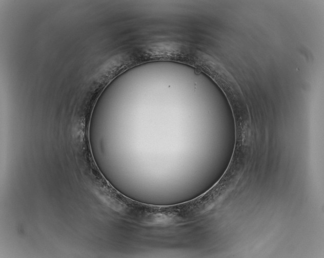 X0000111370737200907101211
