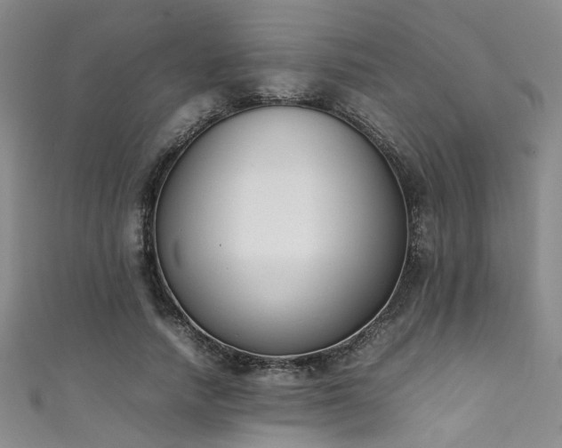 X0000111370738200907101211