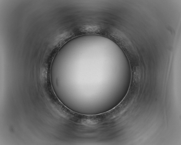 X0000111370739200907101211