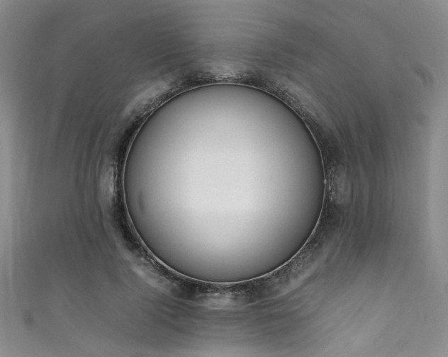 X0000111370740200907101211