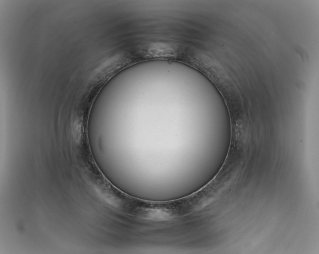 X0000111370741200907101211