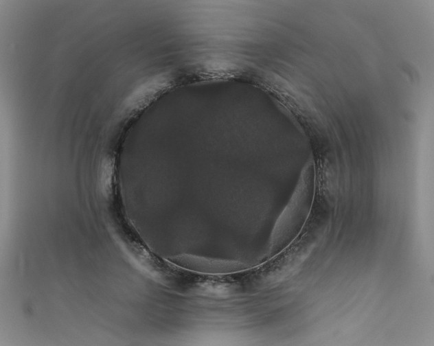 X0000111370742200907101211
