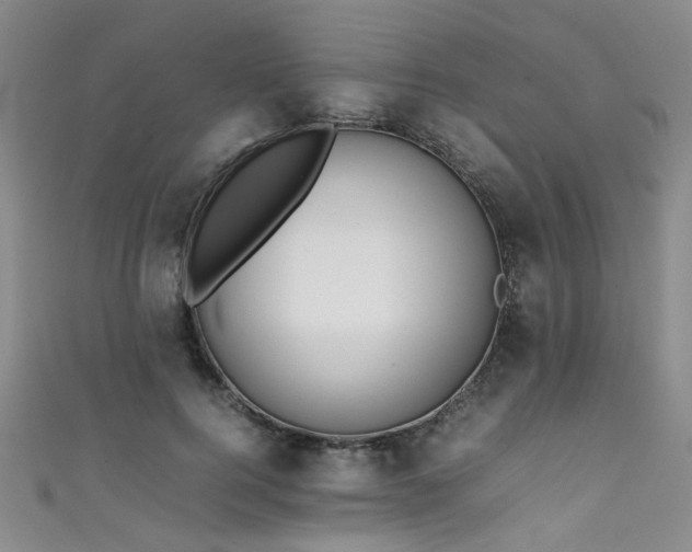 X0000111370744200907101211