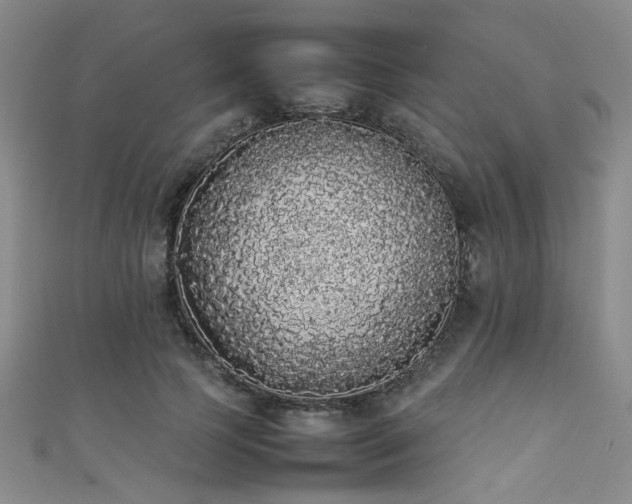X0000111370745200907101211