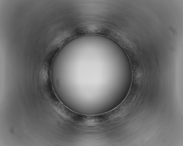 X0000111370746200907101211